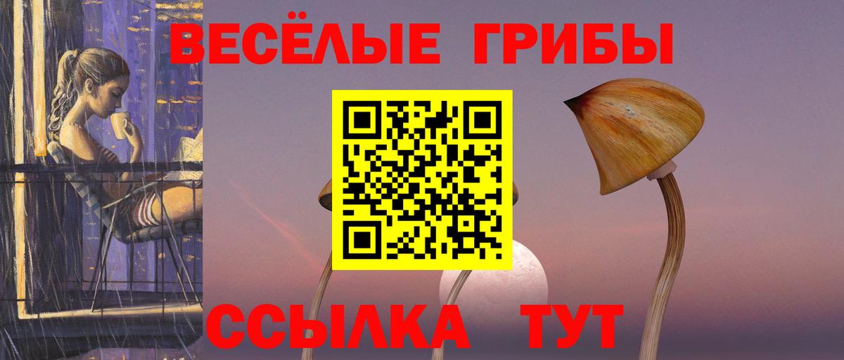 где продают   Галлюциногенные грибы ЛСД  Псилоцибиновые грибы мицелий  Вход с VPN  Энгельс 
